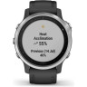 Часы GARMIN FENIX 6S BLACK SILVER WITH BLACK BAND 010-02159-01