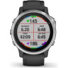 Часы GARMIN FENIX 6S BLACK SILVER WITH BLACK BAND 010-02159-01